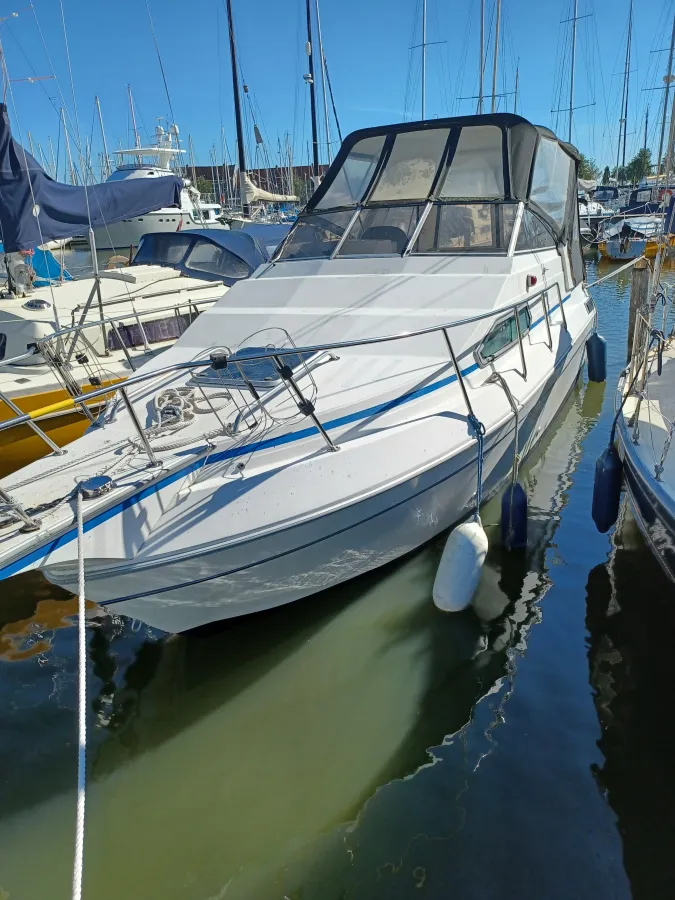 Polyester Motorboat Sunrunner 248