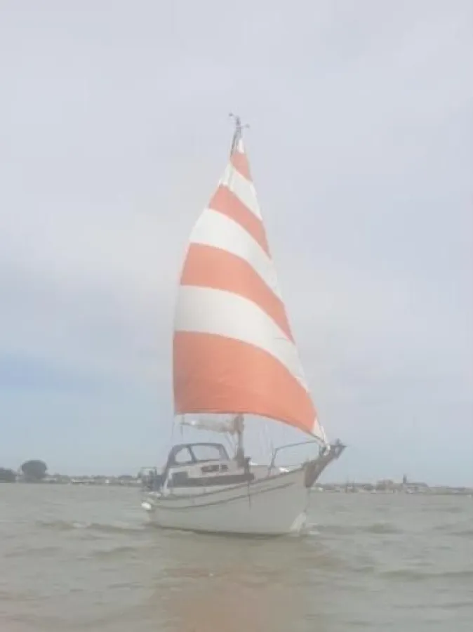 Polyester Sailboat Searide 25