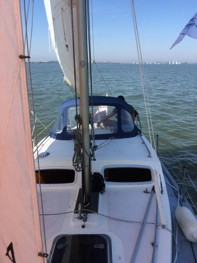 Polyester Sailboat Searide 25