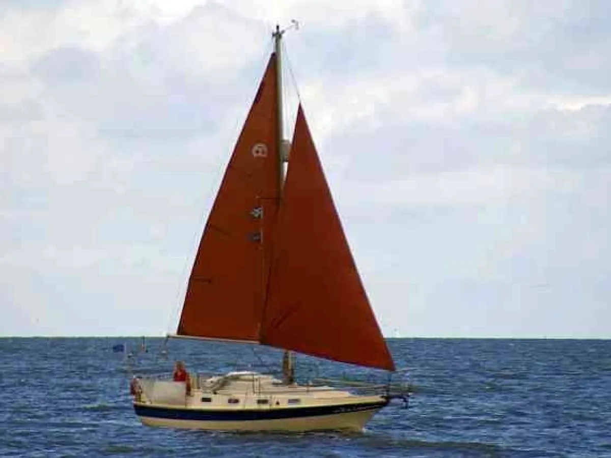 Polyester Sailboat Halcyon 27