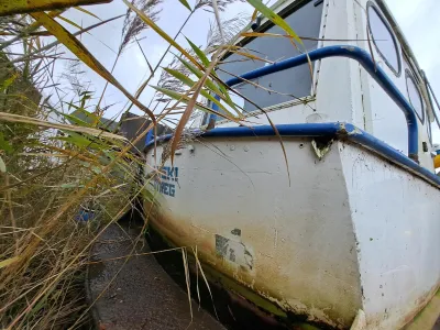 Steel Budgetboat Motorboat 670 Photo 2